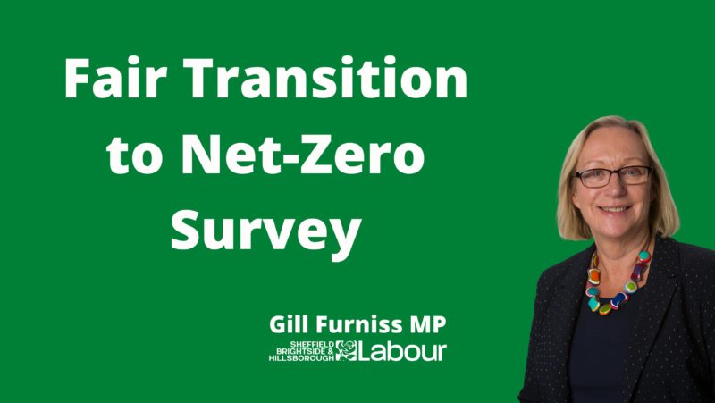 Net-zero survey banner