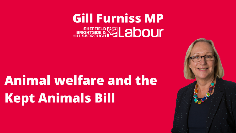 Animal welfare and the Kept Animals Bill
