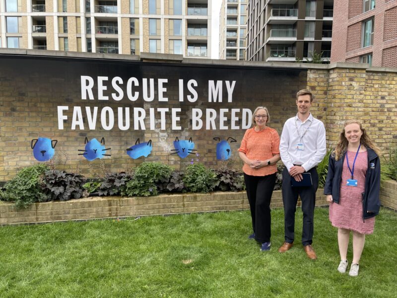 Gill Furniss and staff from Battersea Dogs and Cats Home standing in front of a sign reading